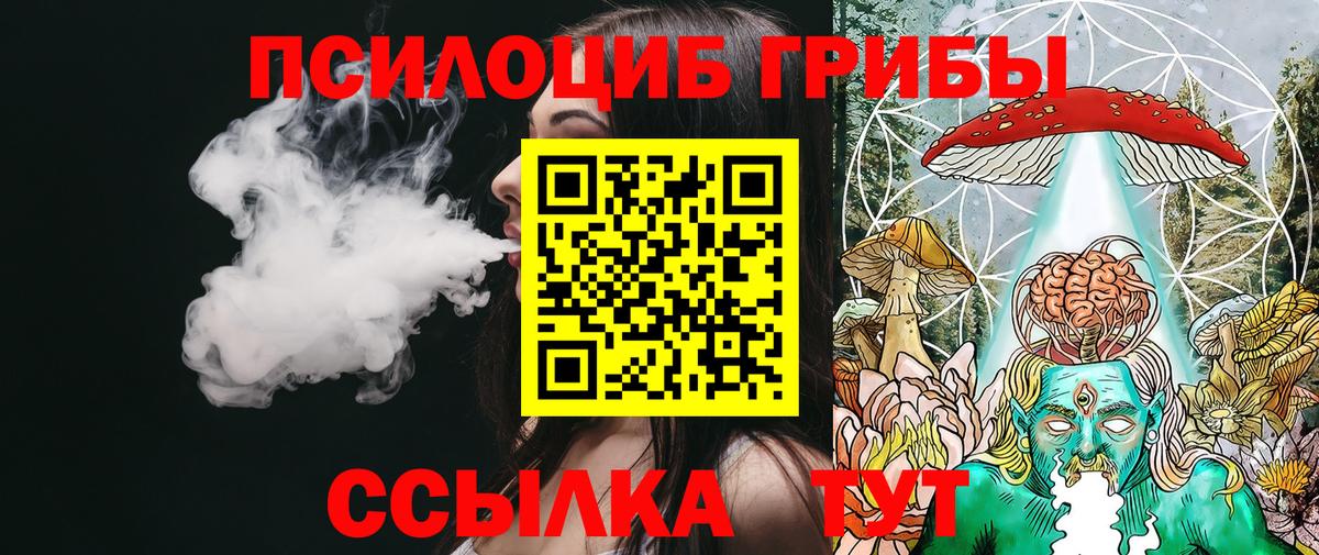 Псилоцибиновые грибы Psilocybine cubensis Рубцовск